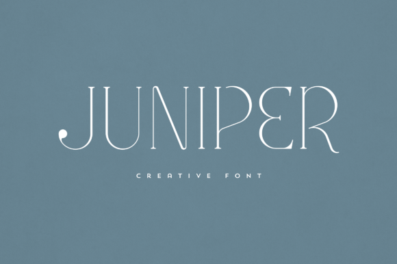 Juniper: A Modern Display Font for Impactful Design